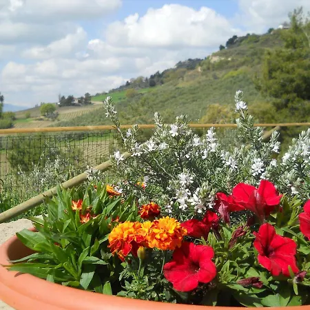 Bed & Breakfast Silent Valley Ripatransone