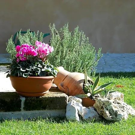 Bed & Breakfast Silent Valley 4*