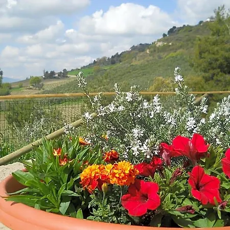 Bed & Breakfast Silent Valley Ripatransone