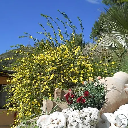 Silent Valley 4* Рипатрансоне