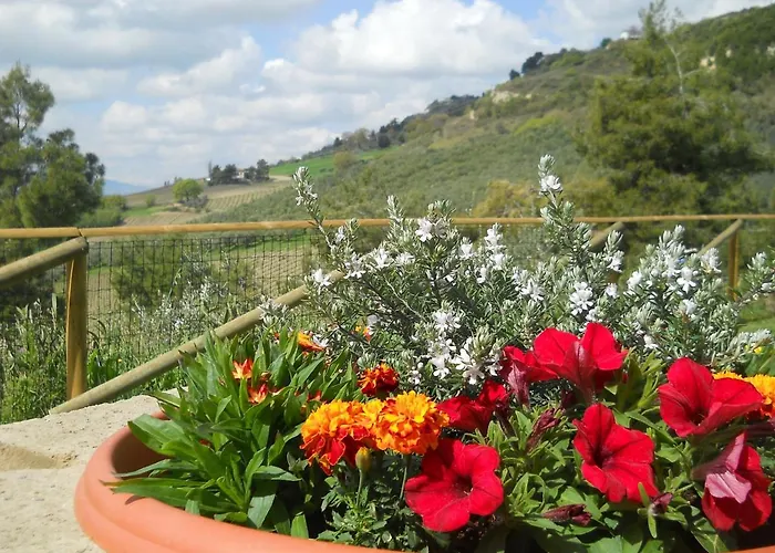 Bed & Breakfast Silent Valley Ripatransone